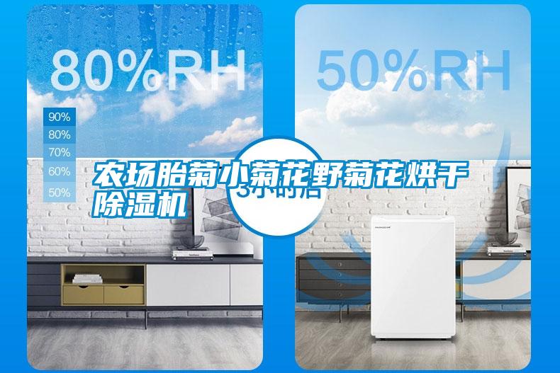 農(nóng)場(chǎng)胎菊小菊花野菊花烘干除濕機(jī)