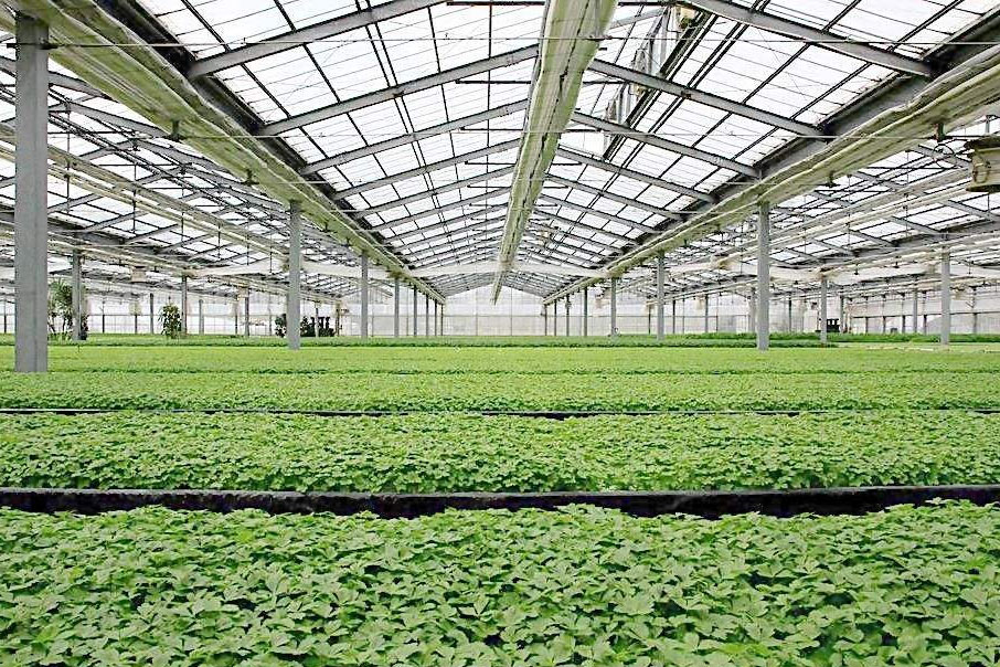 除濕器如何解決高濕度、多種危害的溫室除濕問(wèn)題?