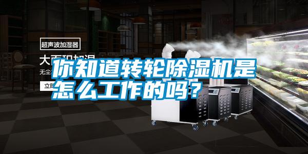 你知道轉(zhuǎn)輪除濕機(jī)是怎么工作的嗎？