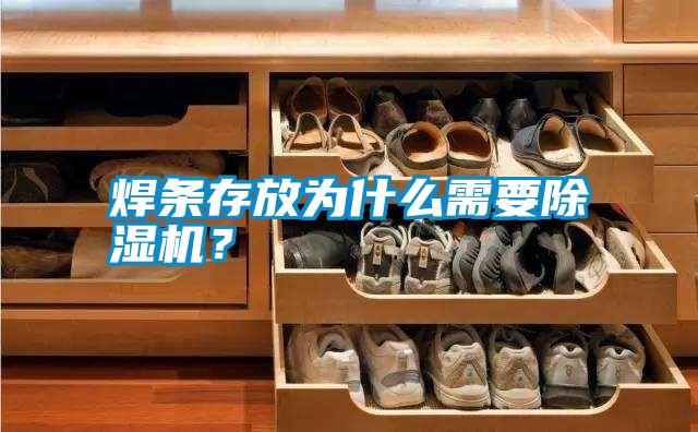 焊條存放為什么需要除濕機?