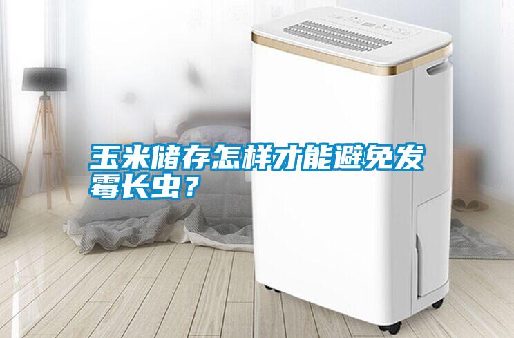 玉米儲存怎樣才能避免發霉長蟲？