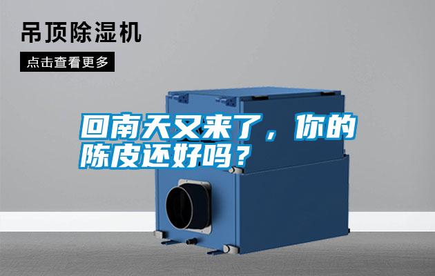 回南天又來了,你的陳皮還好嗎?