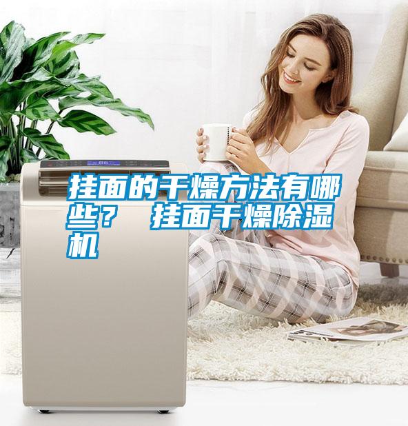 掛面的干燥方法有哪些? 掛面干燥除濕機
