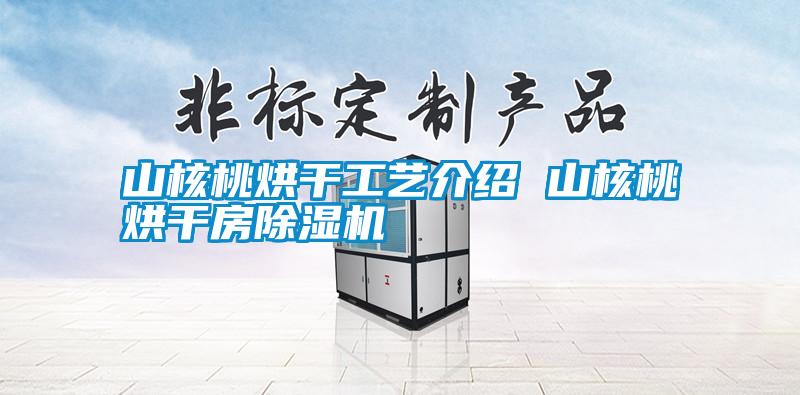 山核桃烘干工藝介紹 山核桃烘干房除濕機