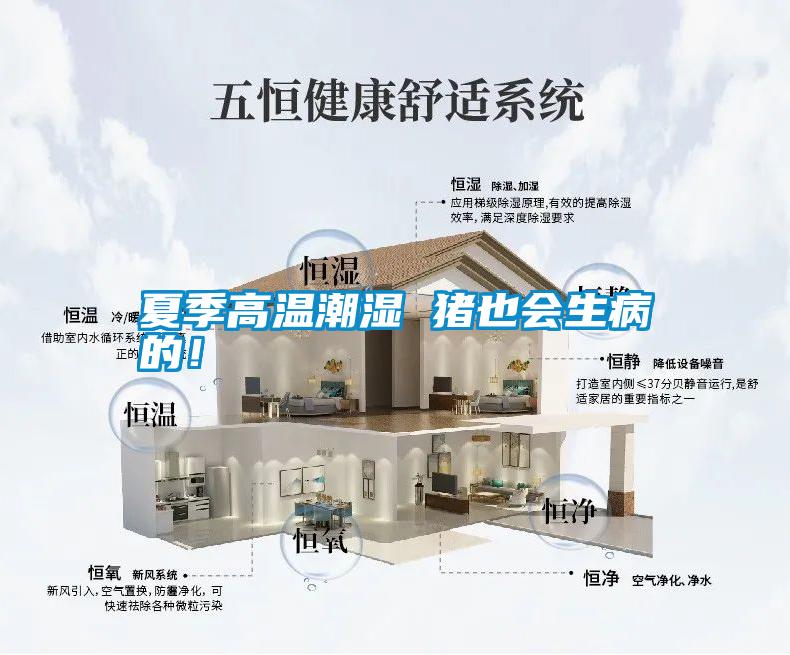 夏季高溫潮濕 豬也會生病的!