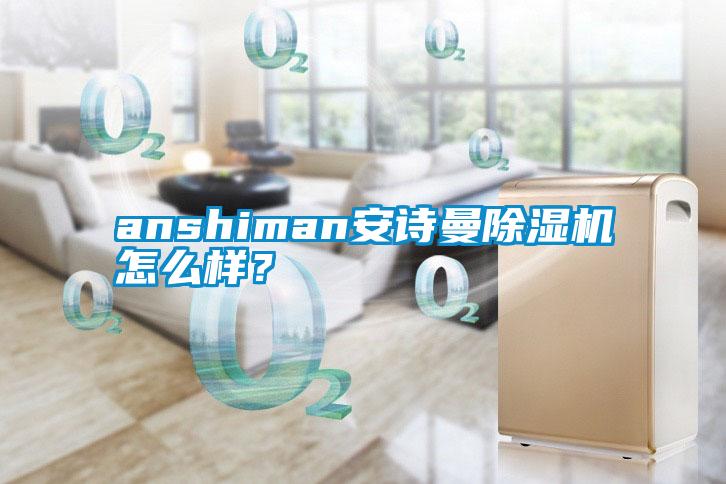 anshiman安詩曼除濕機怎么樣?