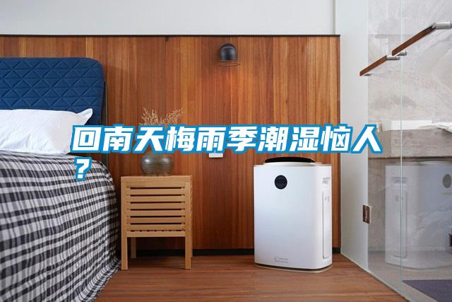 回南天梅雨季潮濕惱人?