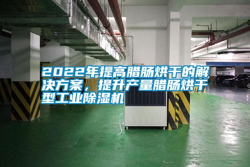 2022年提高臘腸烘干的解決方案,提升產(chǎn)量臘腸烘干型工業(yè)除濕機(jī)