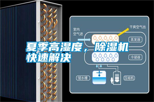 夏季高濕度,除濕機(jī)快速解決