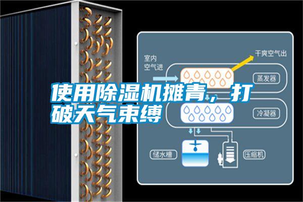 使用除濕機(jī)攤青,打破天氣束縛