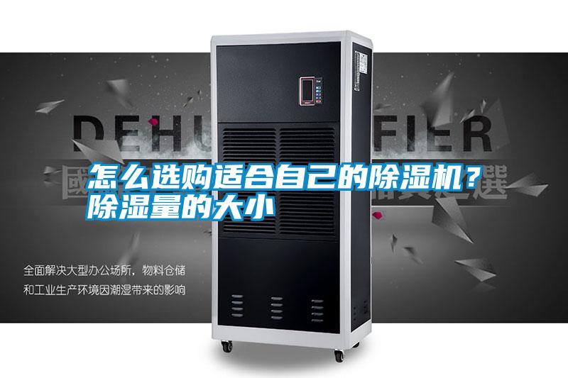 怎么選購適合自己的除濕機?除濕量的大小