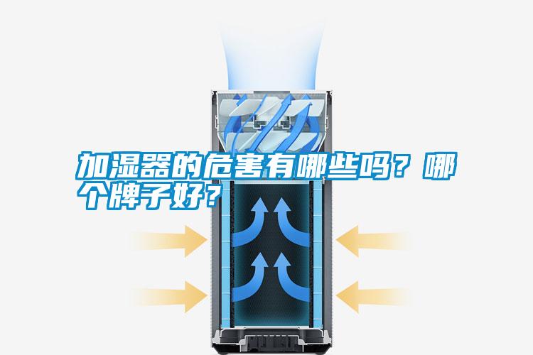 加濕器的危害有哪些嗎?哪個牌子好?