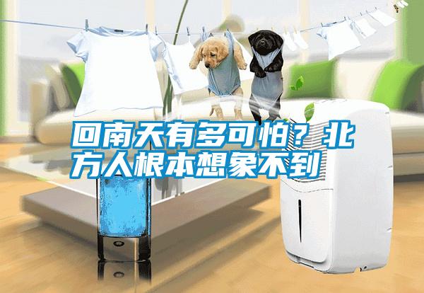 回南天有多可怕?北方人根本想象不到