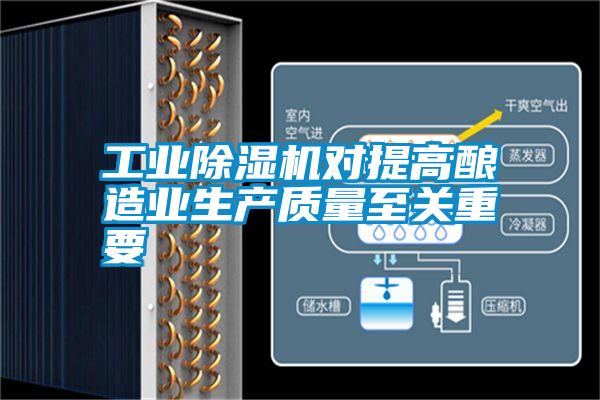 工業除濕機對提高釀造業生產質量至關重要