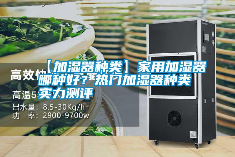 【加濕器種類】家用加濕器哪種好?熱門加濕器種類實力測評