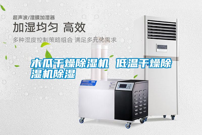 木瓜干燥除濕機 低溫干燥除濕機除濕