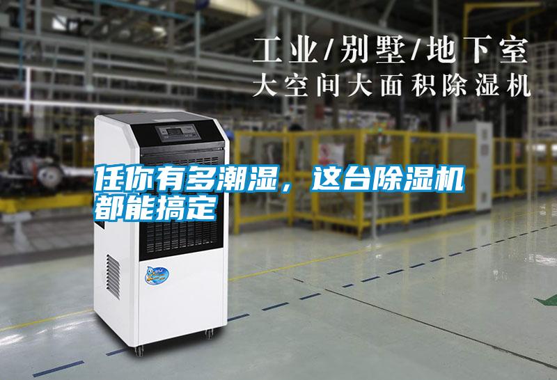 任你有多潮濕,這臺除濕機(jī)都能搞定