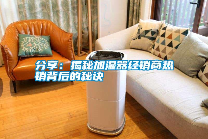分享:揭秘加濕器經(jīng)銷商熱銷背后的秘訣