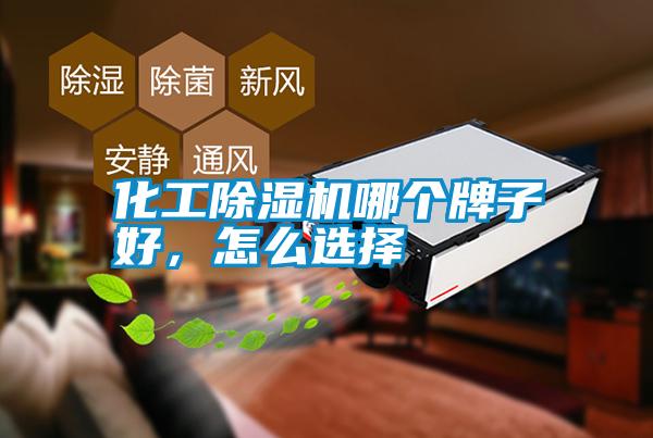 化工除濕機(jī)哪個(gè)牌子好,怎么選擇