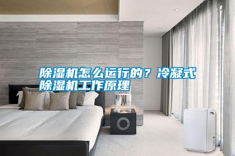 除濕機怎么運行的？冷凝式除濕機工作原理