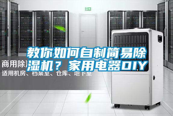 教你如何自制簡易除濕機(jī)?家用電器DIY