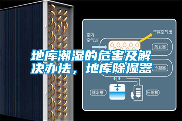 地庫潮濕的危害及解決辦法,地庫除濕器