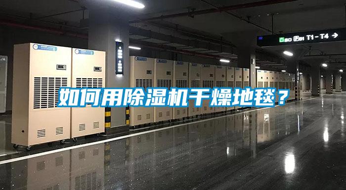 如何用除濕機干燥地毯？