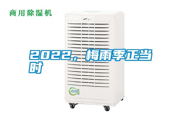 2022，梅雨季正當(dāng)時(shí)