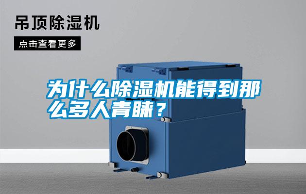 為什么除濕機能得到那么多人青睞?