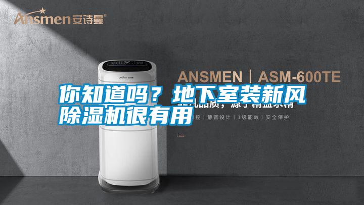 你知道嗎?地下室裝新風(fēng)除濕機(jī)很有用
