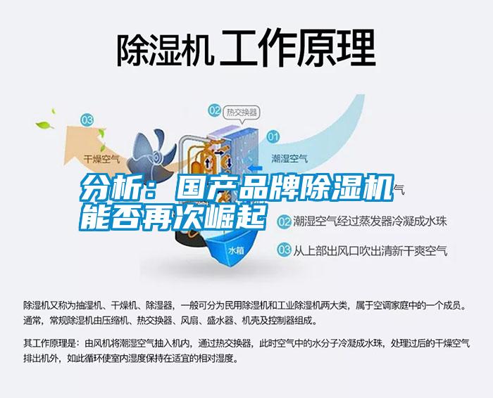 分析:國產品牌除濕機 能否再次崛起
