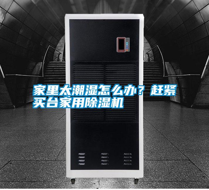 家里太潮濕怎么辦?趕緊買臺家用除濕機
