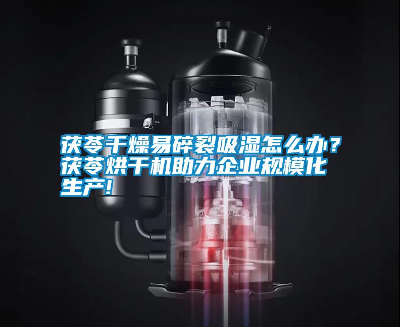 茯苓干燥易碎裂吸濕怎么辦?茯苓烘干機助力企業規模化生產!