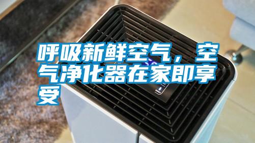 呼吸新鮮空氣,空氣凈化器在家即享受
