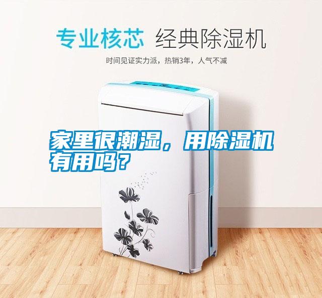 家里很潮濕,用除濕機有用嗎?