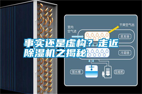 事實(shí)還是虛構(gòu)?走近除濕機(jī)之揭秘