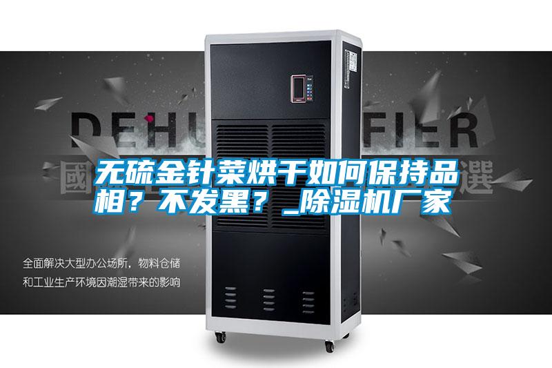 無硫金針菜烘干如何保持品相?不發(fā)黑?_除濕機廠家
