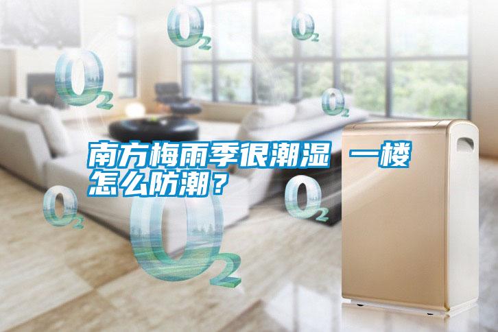南方梅雨季很潮濕 一樓怎么防潮?