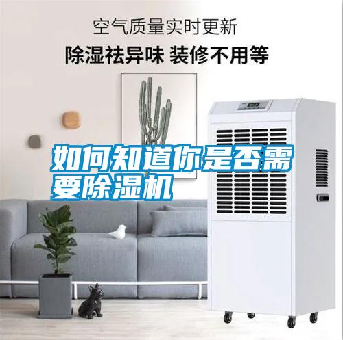 如何知道你是否需要除濕機