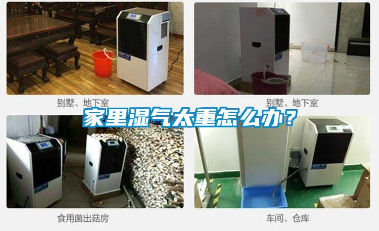 家里濕氣太重怎么辦?