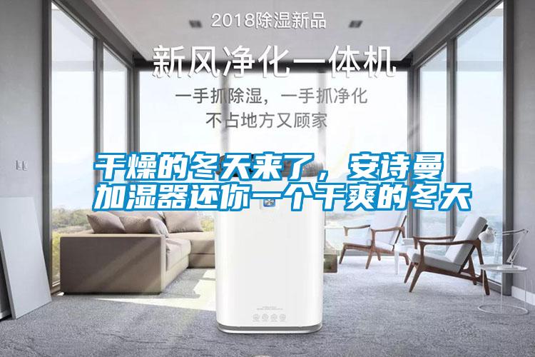 干燥的冬天來了,安詩曼加濕器還你一個干爽的冬天