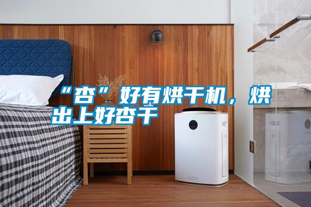 “杏”好有烘干機(jī),烘出上好杏干