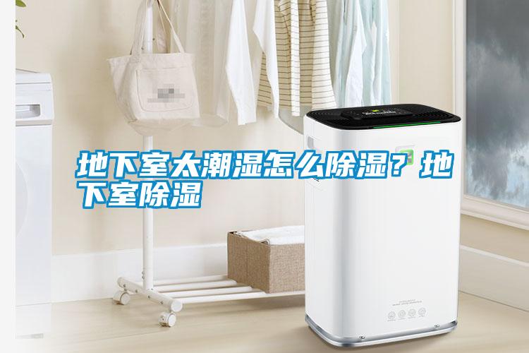 地下室太潮濕怎么除濕?地下室除濕
