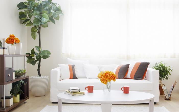 除濕機和空氣凈化器有什么不同?教你如何選擇這兩者!