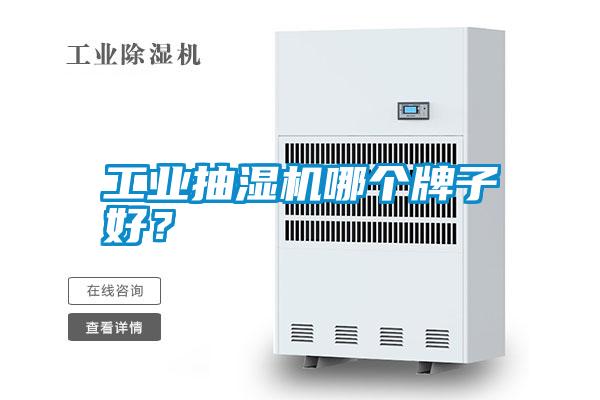 工業抽濕機哪個牌子好？