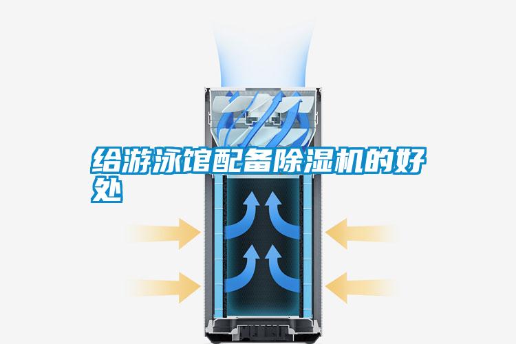 給游泳館配備除濕機的好處