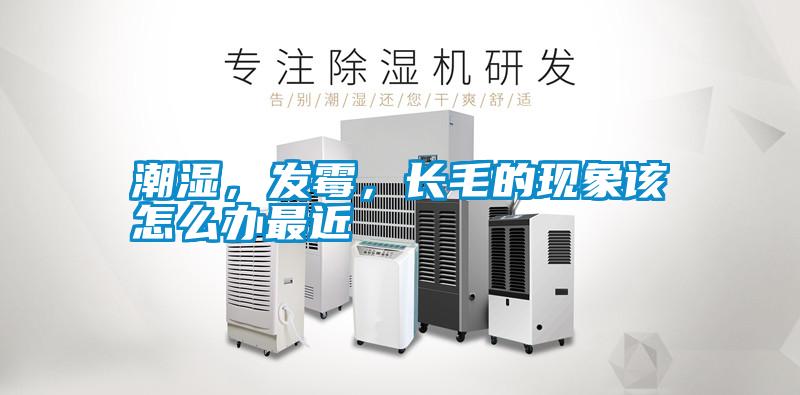 潮濕,發霉,長毛的現象該怎么辦最近