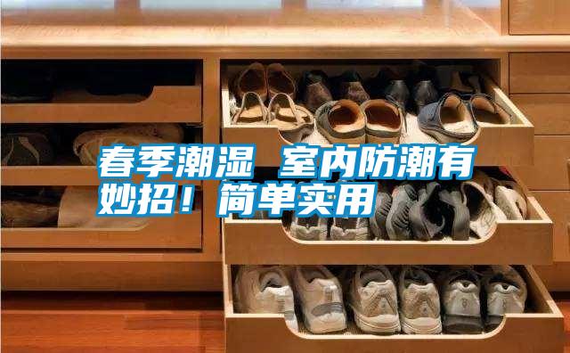 春季潮濕 室內(nèi)防潮有妙招！簡單實(shí)用