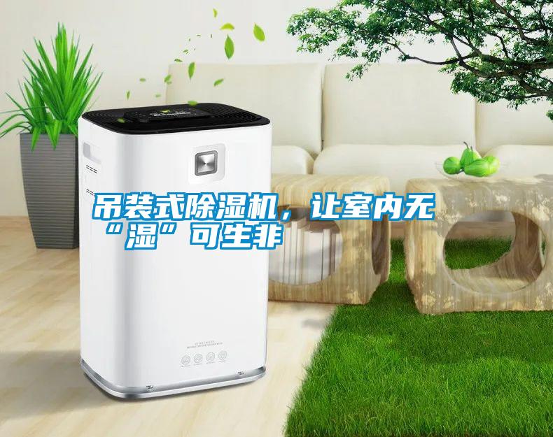 吊裝式除濕機,讓室內無“濕”可生非