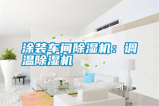 涂裝車間除濕機:調溫除濕機